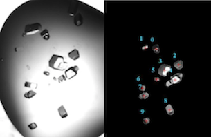 machine vision and the automatic detection of crystals